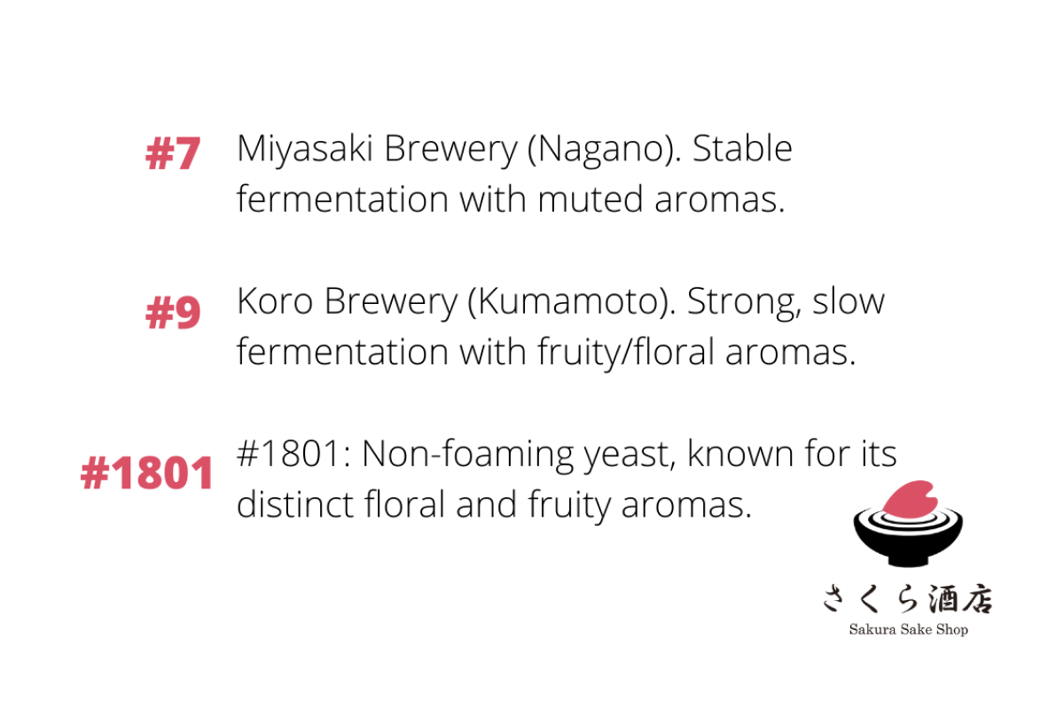 Sake Yeast 3 Common Yeast Strains